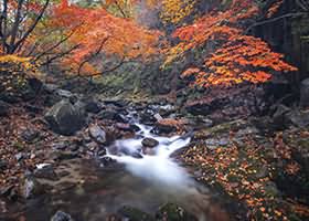 桜井宁宁177期写真合集 146GB